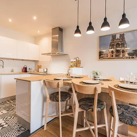Loft Urbain Avec Jardin Prive - Hyper Centre Reims